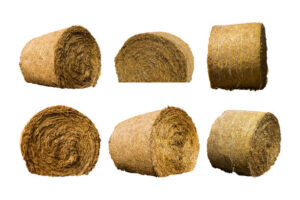 high-quality ryegrass hay